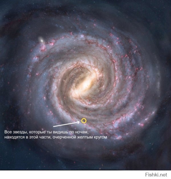 Вот это <span style='color:gray'>[мат]</span>. В ночном ясном небе можно увидеть соседнюю галакику М31 Туманность Андромеды,  а удалена она от нас, по последним данным, на расстояние 772 килопарсек (2,52 млн световых лет). И это НЕВООРУЖЁННЫМ ГЛАЗОМ!!!!