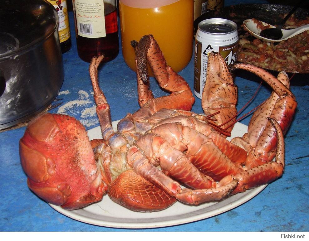 Coconut Crabs, Christmas Island загрузить