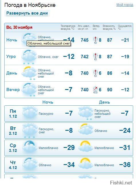 товары погода на неделю в волгоградской начисляют после
