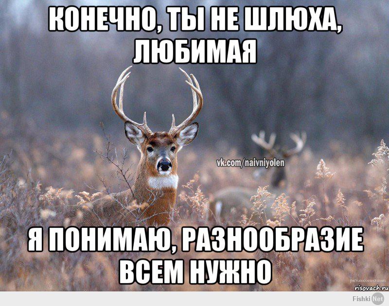 На Спрашивай Шлюха Что Ответить Ответить на спрашивай шлюха что