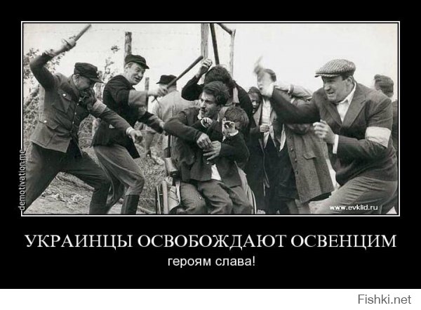 Если СССР по словам вашего премьера оккупировал Украину, то тогда на чьей стороне вы сражались, а хохел?