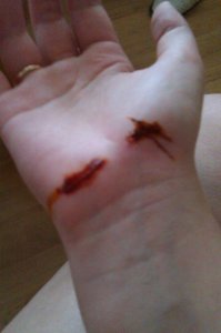везет... мне как-то пришлось мыть кошку свою... в итоге теперь на руке шрам... еще некоторые петросяны спрашивали "ты что, покончить с собой пыталась"